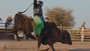 Wild Oltrepò, il rodeo arriva sulle nostre colline