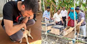 Can a Dog Do a Mitzvah? A Rosh Hashanah LaBehemot Reflection