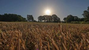 Noch so ein Sommer und die Hitze ändert unser Leben