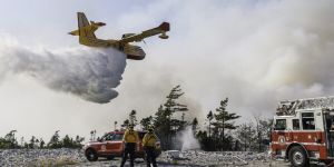 Make Canada a leader in fighting wildfires