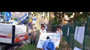 Abbattimento del platano in via Lombardi, la protesta blocca l’intervento. Il Comune: “Pericolosità estrema”