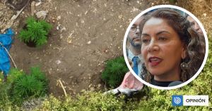 Drogas en La Cruz: otro caso que la alcaldesa socialista no habría denunciado