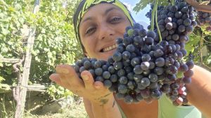 Più forte della grandine, la vigneron di Federica Pedroli non s’arrende: il suo vigneto “eroico” ha resistito alla tempesta di ghiaccio di luglio
