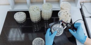 AI and bio-weapons