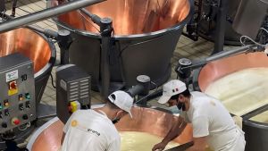 Crisi Bresciangrana, riparte il ritiro del latte ma alcuni allevatori dicono “no”