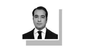Net-hydel profits