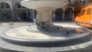 Piccioni senz’acqua in piazza delle Erbe a Padova, il Comune: «Nessuna criticità»