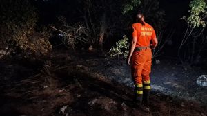 Ancora un rogo doloso sul Carso: bruciati 4.000 metri quadrati di vegetazione a Col di Monrupino