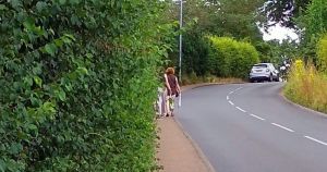 Locals launch campaign for reduced speed limit on 'dangerous' town road