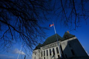 The rule of law means no law is above review
