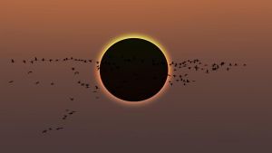 Cuenta atrás para el eclipse solar total en Asturias: nada de baños en determinadas playas y llamamiento a la sensatez y prudencia en las carreteras para evitar colapsos