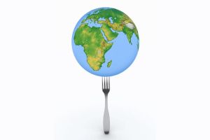 Foreign Policy in the Kitchen