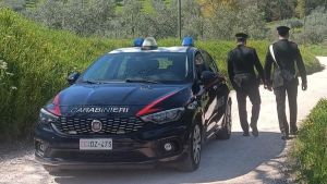 Miele dello sballo nel frigorifero, arrestato operaio edile di 26 anni