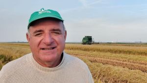 Viaggio nel deserto padano. Mais polverizzato dal sole, e pure nelle risaie si piange: 