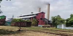 Marco Rubio, ¿el central “Coloso” es inmune a la ley?