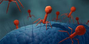 Scientists have designed a functioning virus from scratch using AI – what you need to know