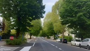 Montevarchi, sicurezza in Viale Matteotti: Camiciottoli chiede un piano contro l’alta velocità