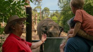 Arthur is gastheer in DierenPark Amersfoort. ‘Het mooiste vind ik als er verwondering ontstaat’