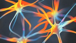 Motivation Requires More Than Willpower. Scientists Found the Brain Cells That May Help Sustain It