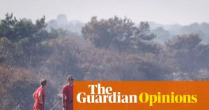 The Guardian view on wildfires: firefighters can’t handle this crisis alone