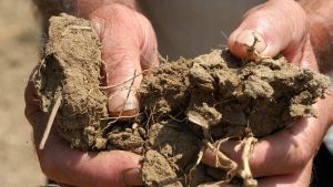 La grande sete dell’agricoltura: 