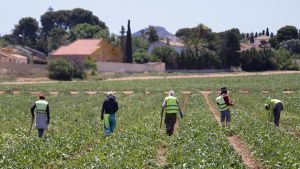 Regularizar para crecer: una oportunidad para construir un país más justo