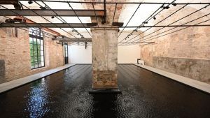 Belu Simion Fainaru ci racconta la sua sfida al boicottaggio di Israele alla Biennale