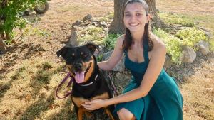 Cane avvelenato dal pacco del corriere. Consegnata una confezione di topicida