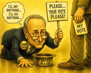 ‘Schumer’ in the Merriam-Webster Dictionary