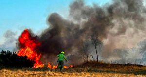 More than 300m of heathland went up in flames as fire crews issue warning