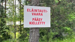Politiikka | Lukijalta: Afrikkalaisen sikaruton lasku ei kuulu veronmaksajille