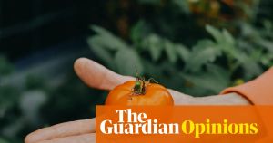 I was enjoying growing vegetables. Then the climate crisis raised its ugly head