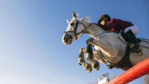 Zwischen Reit-WM und Ponyhof-Ferien: Tierwohl lässt sich auf viele Arten gefährden
