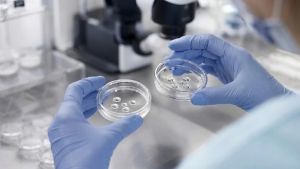 Scambio di embrioni al San Raffaele, cosa dice la legge sulla procreazione medicalmente assistita. Domande e risposte