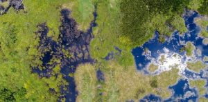 Putting out wildfires: how peat restoration has reduced fire risk in Indonesia’s tropical forests
