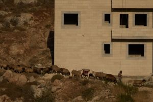 In Qusra and beyond, settlers are chasing Palestinians out and taking over their homes