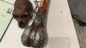 Delhi shocker: Monkey skull recovered from passengers handbag at IGI Airport
