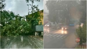 Nubifragio sull’Empolese: raffiche di vento a 80 km/h, pioggia e grandine. Alberi caduti a Vinci e a Montelupo