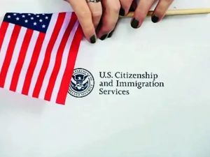 Cure worse than H-1B 'malaise'