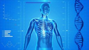 Medical AI Can Pass The Test And Still Fail Patients – OpEd