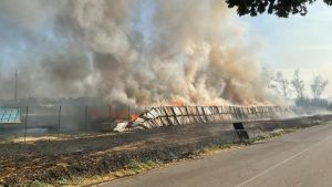 Fiamme a Castelfranco, lotta per domare il rogo. Distrutti 10.800 pannelli