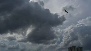 Bengaluru to witness cloudy skies for next 3 days, showers likely, says IMD