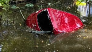 Kolkata woman goes for driving practice, drowns after car plunges into pond