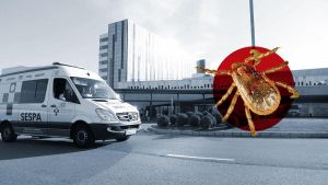 Asturias activa un plan de vigilancia de garrapatas para analizar los microorganismos que pueden transmitir a las personas