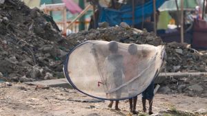 Delhi’s 70 peripheral villages may see commercial development under new GDA framework