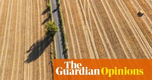 Britain’s scorched fields mean a food crisis – and the government is ignoring the one measure that would help