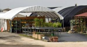 Formignana, ladri nell’azienda agricola: hanno agito in pieno giorno