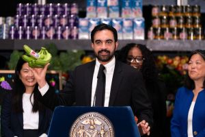 New York will regret going into the grocery business