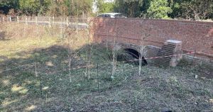 Riverside area cordoned off in village after poisonous plant found
