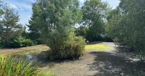 Family's pond left 'non-existent' after drought drains it dry amid fifth heatwave